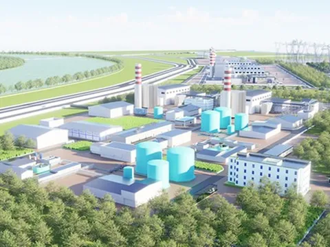 Danh tính cổ đông ngoại sở hữu 5% vốn điều lệ VinEnergo