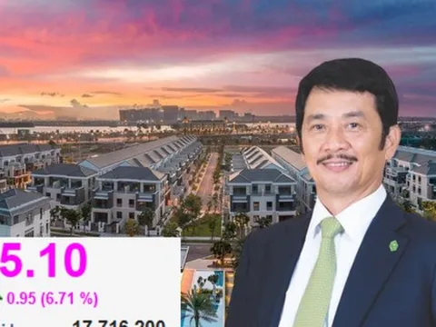 Novaland làm sao thế?