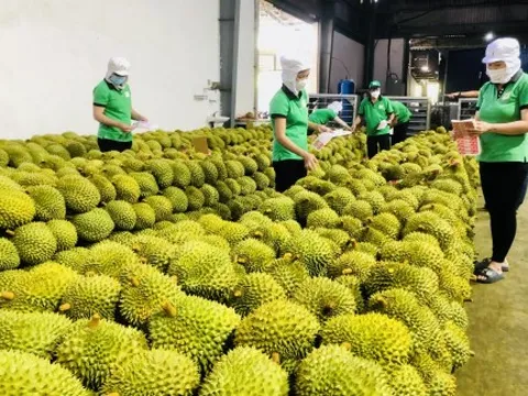 Nông sản Việt vào Mỹ hưởng lợi khi Mỹ dỡ bỏ thuế