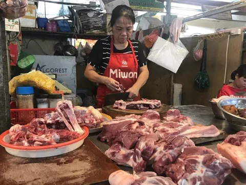 Nông dân nuôi lợn kiệt quệ vì lỗ nặng, vì sao giá thịt lợn vẫn ‘trơ trơ’ trên 150.000 đồng/kg?