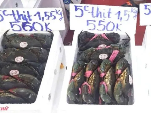 Cà Mau thu hơn 10.000 tỉ đồng mỗi năm từ cua