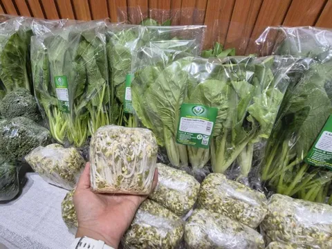 Trồng rau ở sân thượng và ban công chủ yếu để thư giãn, tự cung tự cấp