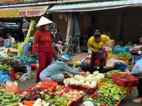 Lý do nguồn cung khá ổn định nhưng giá rau tăng chóng mặt ở TPHCM