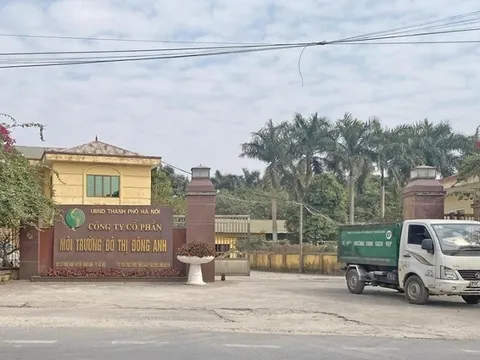 Trưởng ban kiểm soát qua đời 4 tháng, công ty mới biết tin