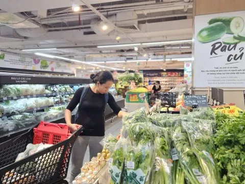 Giá rau củ đắt hơn thịt cá, Sở Công Thương TPHCM nói gì?
