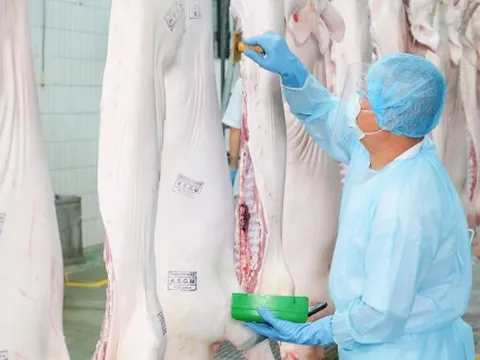 Sàn giao dịch thịt heo tại TPHCM dự kiến vận hành từ đầu năm 2026