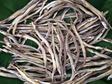 Loài cá nhỏ 'như chiếc đũa tre' ở miền Tây: Xưa rẻ bèo, nay phơi khô bán 200.000 đồng/kg, ăn một lần là nhớ cả đời