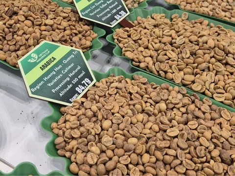 Giá cà phê hôm nay 20-11: Robusta giữ giá tốt