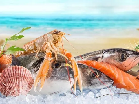 Chuyên gia Agriseco điểm tên 2 cổ phiếu thủy sản có lợi thế vượt trội, dự báo duy trì tăng trưởng cao thời gian tới