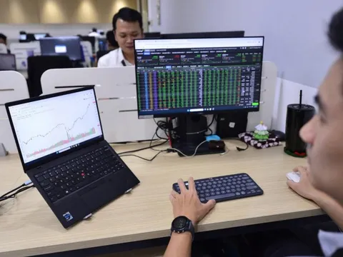 Nông nghiệp Hoà Phát (HPA): IPO 30 triệu cổ phiếu giá 41.900 đồng/cp