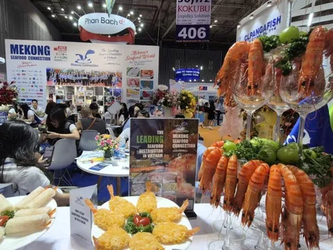 Trung Quốc chi 1,1 tỉ USD nhập tôm Việt Nam