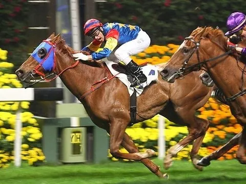 UBCKNN “bật đèn xanh”, SSI sắp tăng vốn điều lệ vượt TCBS, lấy lại “ngôi vương” ngành chứng khoán