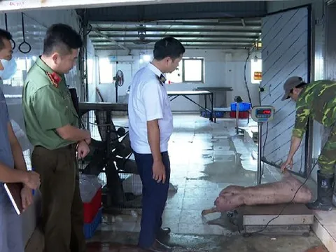 Vợ chồng chủ trang trại ở Hưng Yên tuồn thịt lợn nhiễm dịch tả châu Phi ra thị trường