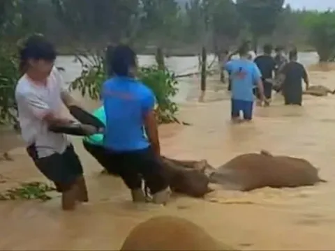 Nhiều ngân hàng giảm lãi suất cho khách bị thiệt hại bão lũ