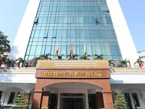 Vicem bán đấu giá cổ phần tại nhiều công ty con, công ty liên kết