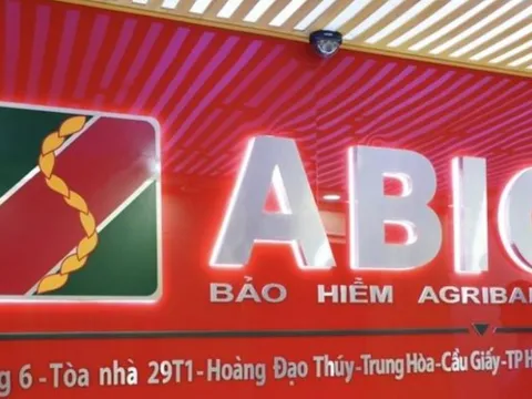 Hai ứng viên sắp được bầu vào HĐQT, BKS bảo hiểm ABIC là ai?