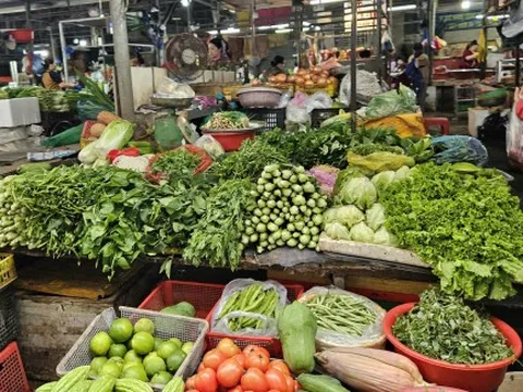 Giá rau xanh 'hạ nhiệt'
