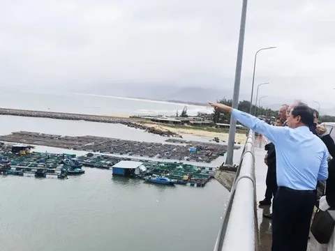 Gia Lai mời gọi đầu tư siêu dự án nhà máy điện gió hơn 48.000 tỉ đồng