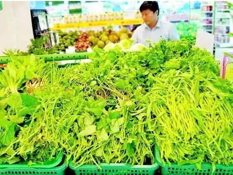 Ưu tiên hàng hóa cho vùng lũ