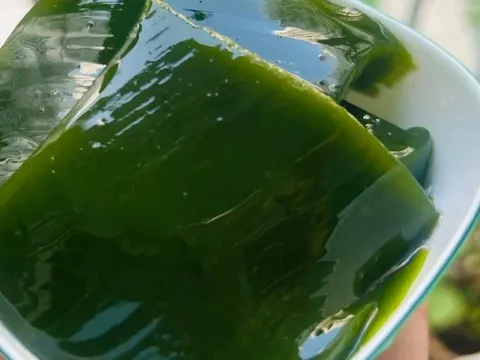 Không cần đất tốt, không cần chăm nhiều loại cây này vẫn đem về 2 tỷ mỗi năm cho nông dân