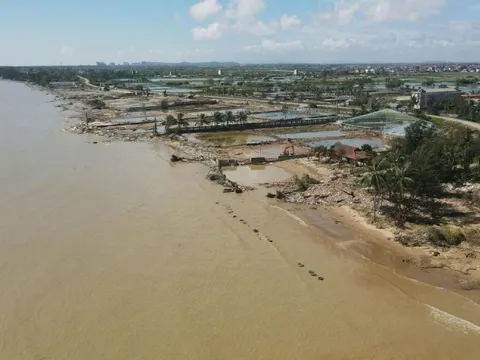 'Hải sản nhà giàu' đối mặt khủng hoảng xuất khẩu sau lũ lụt lịch sử