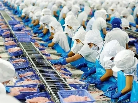 Xuất khẩu thủy sản sang Mỹ biến động do ‘ngấm’ thuế đối ứng