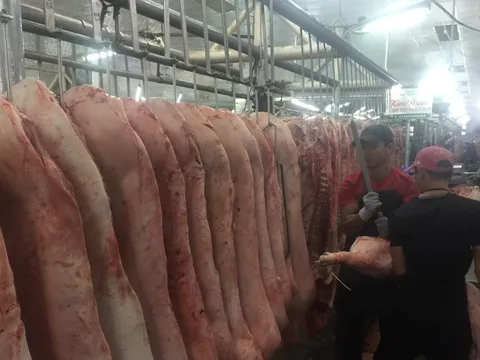 Giá heo hơi hôm nay, 28-11: Giá heo pha lóc giảm đáng kể