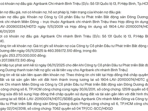 Khoản nợ hơn 460 tỷ đồng của BĐS Đông Dương bị ngân hàng rao bán