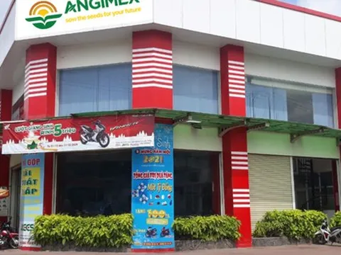 Angimex bị xử phạt do vi phạm công bố thông tin