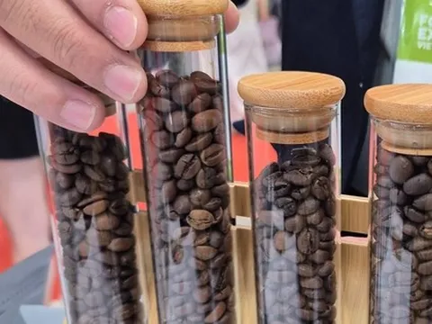 Giá cà phê hôm nay 2-12: Giảm mạnh, hàng trăm nhà mua hàng quốc tế đang quy tụ tại TP HCM