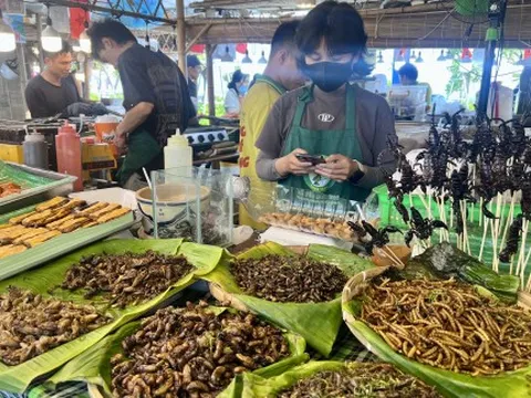 Đuông dừa, bọ cạp, côn trùng… vào lễ hội ẩm thực Mỹ vị sóng ngàn