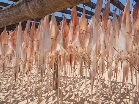 Một đặc sản biển của Việt Nam 'lọt mắt xanh' loạt thị trường lớn, Hàn Quốc – Nhật Bản – Thái Lan đua nhau mua: Xuất khẩu bứt phá, thu hàng trăm triệu USD trong 10 tháng