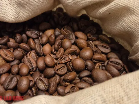 Giá cà phê hôm nay 4-12: Chưa cắt mạch đi lùi, nông dân có bị ép giá?