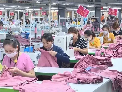 Thương mại Mỹ - Ấn gặp trắc trở, một ngành hàng chủ lực của Việt Nam lại được gọi tên