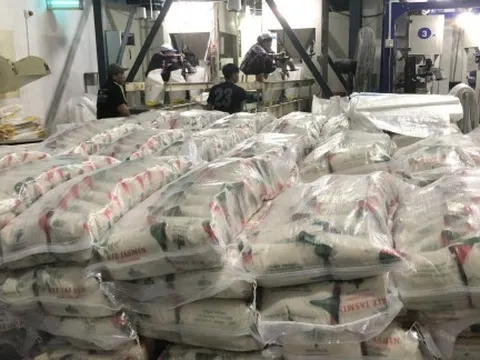 Giá gạo thế giới giảm sâu, xuất khẩu Việt Nam chịu sức ép lớn