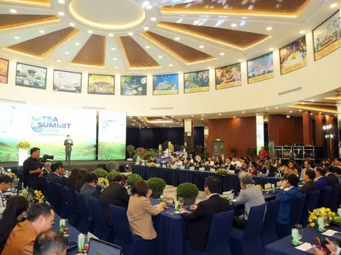 Tea Summit 2025: 'Trà – Thức uống của tương lai' và hành trình kiến tạo chuẩn giá trị mới cho ngành trà Việt