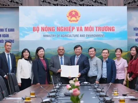 Một ngân hàng lớn hỗ trợ 2 triệu USD khi Việt Nam trải qua một trong những năm thiên tai khốc liệt và thiệt hại nặng nề nhất lịch sử