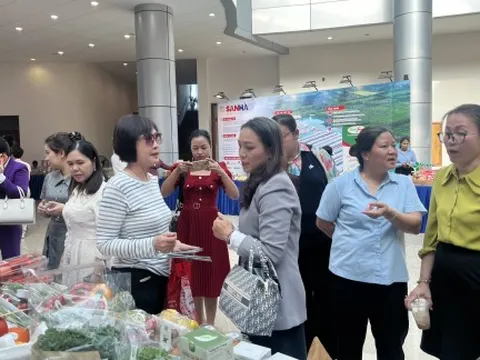 TPHCM tăng kiểm soát nguồn cung thực phẩm vào trường học, cơ sở du lịch