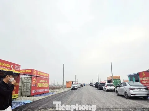 Đấu giá đất vùng quê: Chưa lên sàn 'cò đất' đổ về gây náo loạn