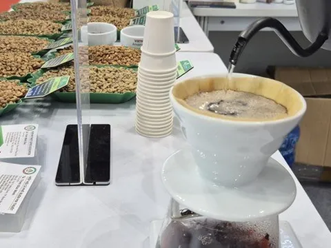 Giá cà phê hôm nay 7-12: Người Việt uống cà phê còn ít