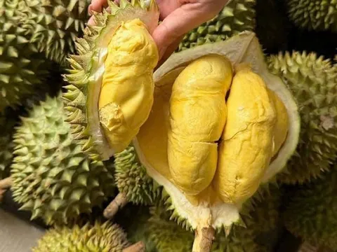 Thu gần 3,34 tỷ USD sau 10 tháng, 'vua trái cây' Việt Nam thành ngôi sao, càn quét thị trường Trung Quốc