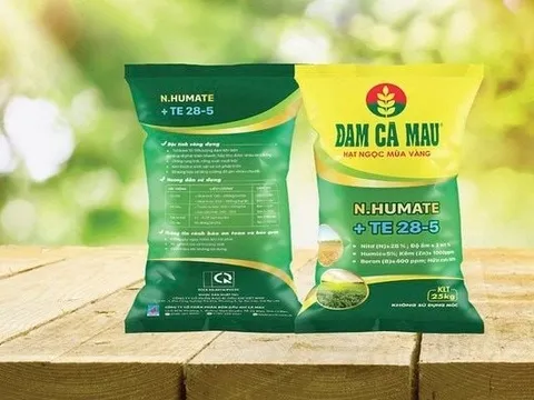 Đạm Cà Mau nâng gấp đôi chỉ tiêu lợi nhuận 2025 lên 1.448 tỷ đồng