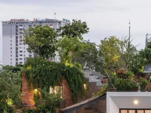 'Biến' sân thượng thành công viên tư gia