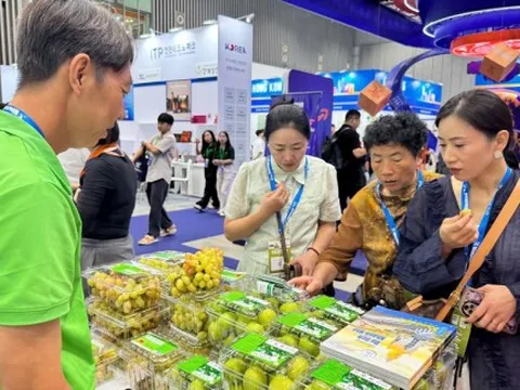 Trầm hương, yến sào... xịn bán trực tiếp tới người tiêu dùng TPHCM