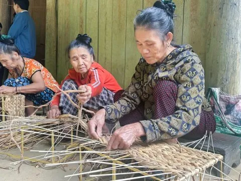 Lục bình đi 'Tây', bản làng ai cũng có việc làm