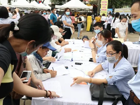 Quảng Ngãi cần tuyển hơn 8.300 lao động: Nhiều việc không cần kinh nghiệm, lương lên tới 10 triệu/tháng