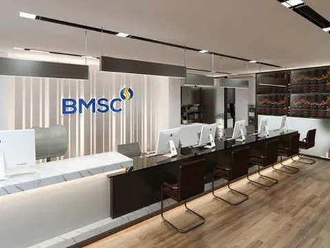 Lộ diện 5 doanh nghiệp mua hơn 48 triệu cổ phiếu 'ế' của Chứng khoán Bảo Minh