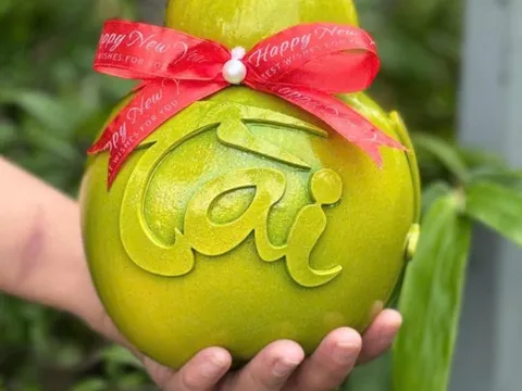 Dừa ‘tài lộc’ xuất hiện tại siêu thị từ sớm: Thử bán 10 ngày đã tiêu thụ hơn 200 trái, dự kiến tung 5.000 trái dịp Tết