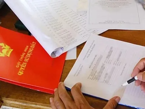 Thanh tra TPHCM vào cuộc vụ hô biến đất công thành 'đất ông'