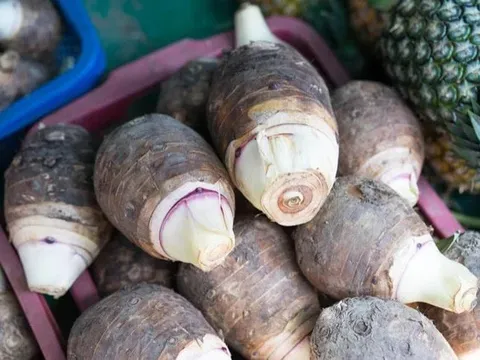 Loại củ chỉ cần chạm tay 1 giây là ngứa cả ngày, ai ngờ lại cực tốt cho gan và tim mạch, ngừa đột quỵ